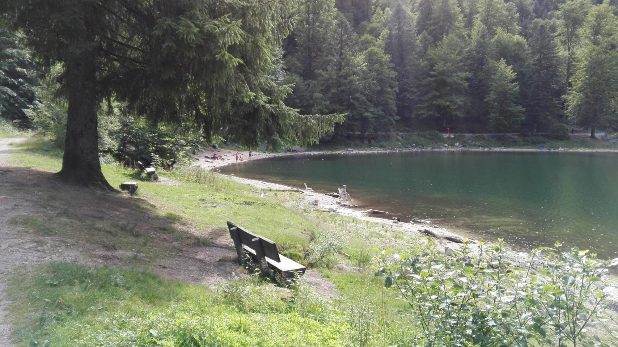 La Bressaude - Vacances-En-Vosges - Menage Compris Ла-Бресс Экстерьер фото