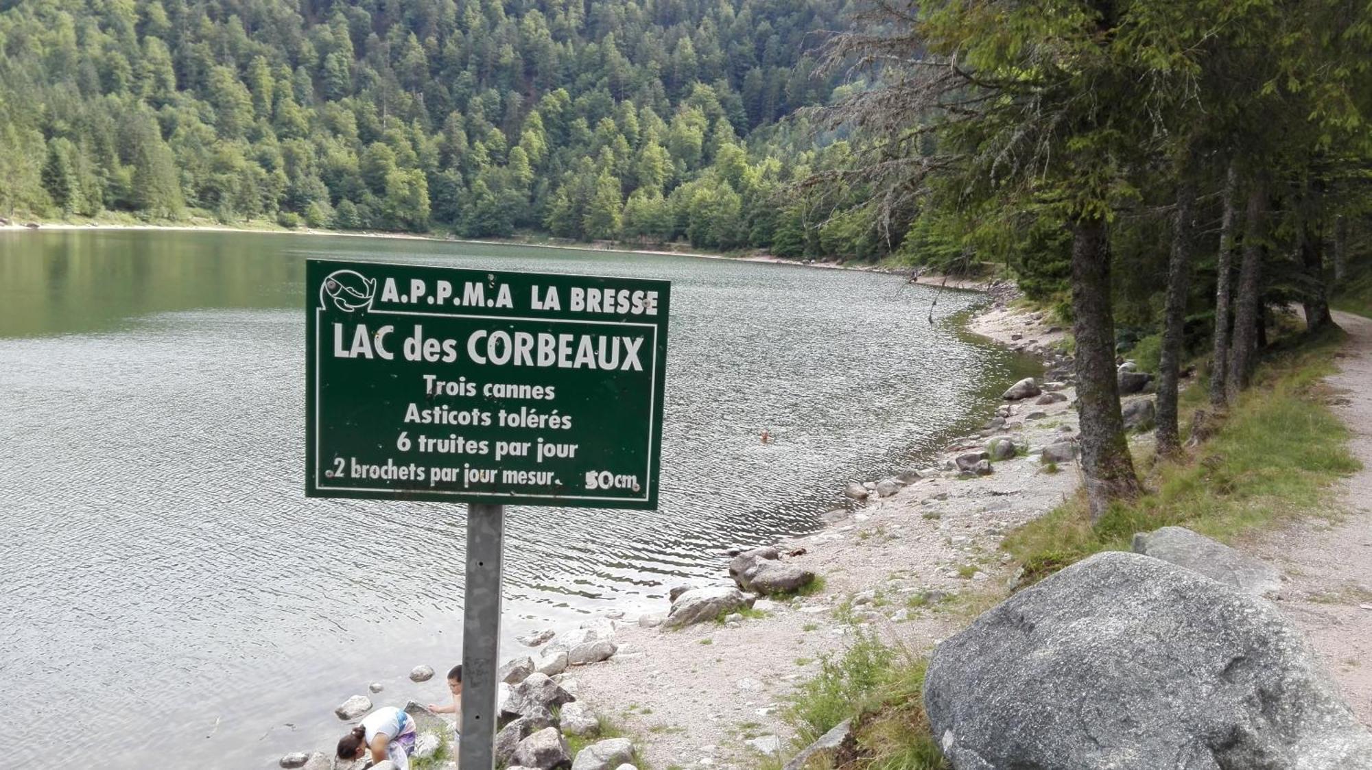 La Bressaude - Vacances-En-Vosges - Menage Compris Ла-Бресс Экстерьер фото
